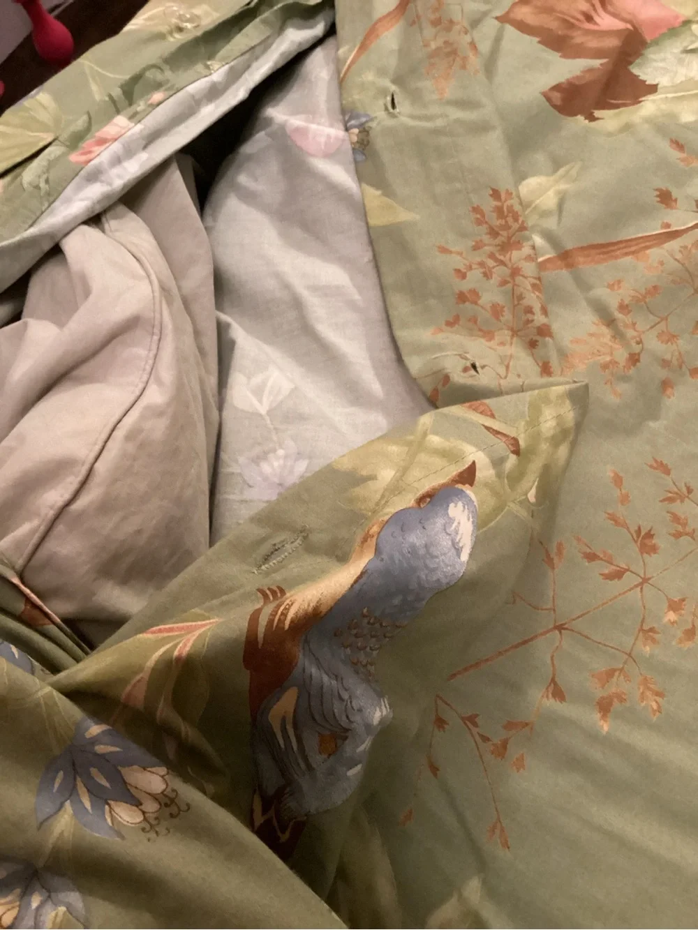 Pottery Barn Sylvie F/Q Duvet Cover & Duvet Organic Cotton Floral 87”x93”